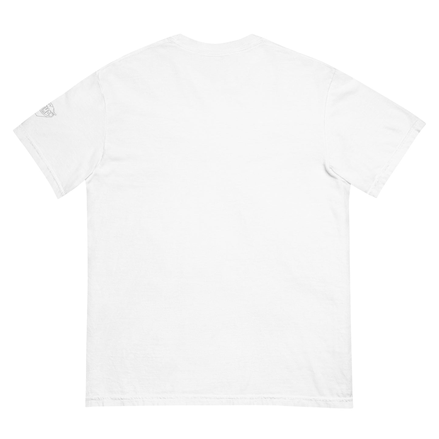 PIGMENT EMBROIDERED T-SHIRT