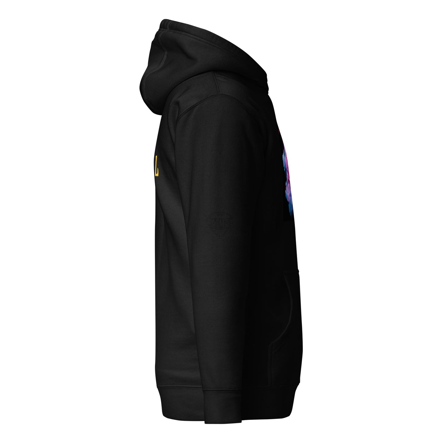 PIGMENT HOODIE (Black Accents)