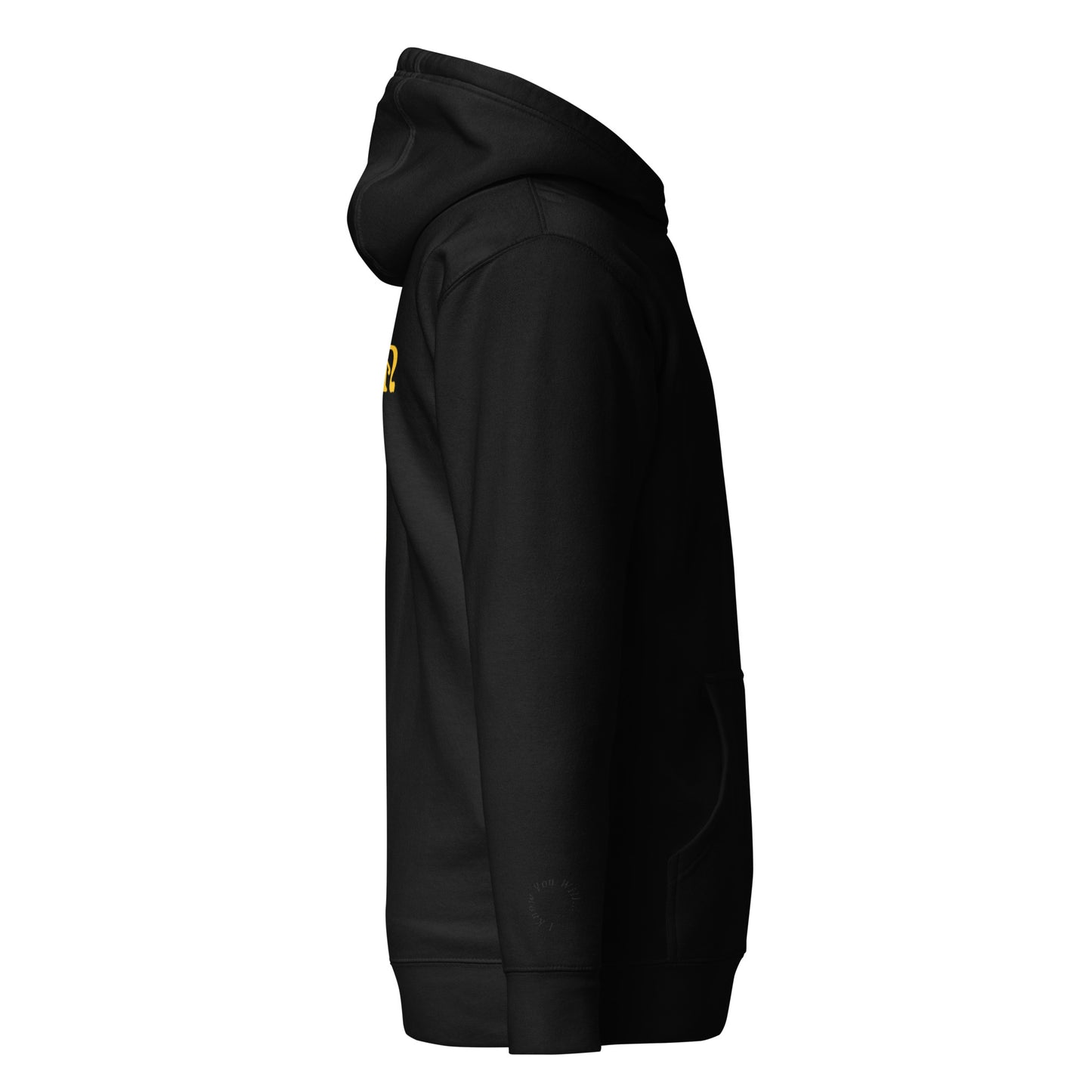 PIGMENT EMBROIDERED POCKET HOODIE (Black Accents)