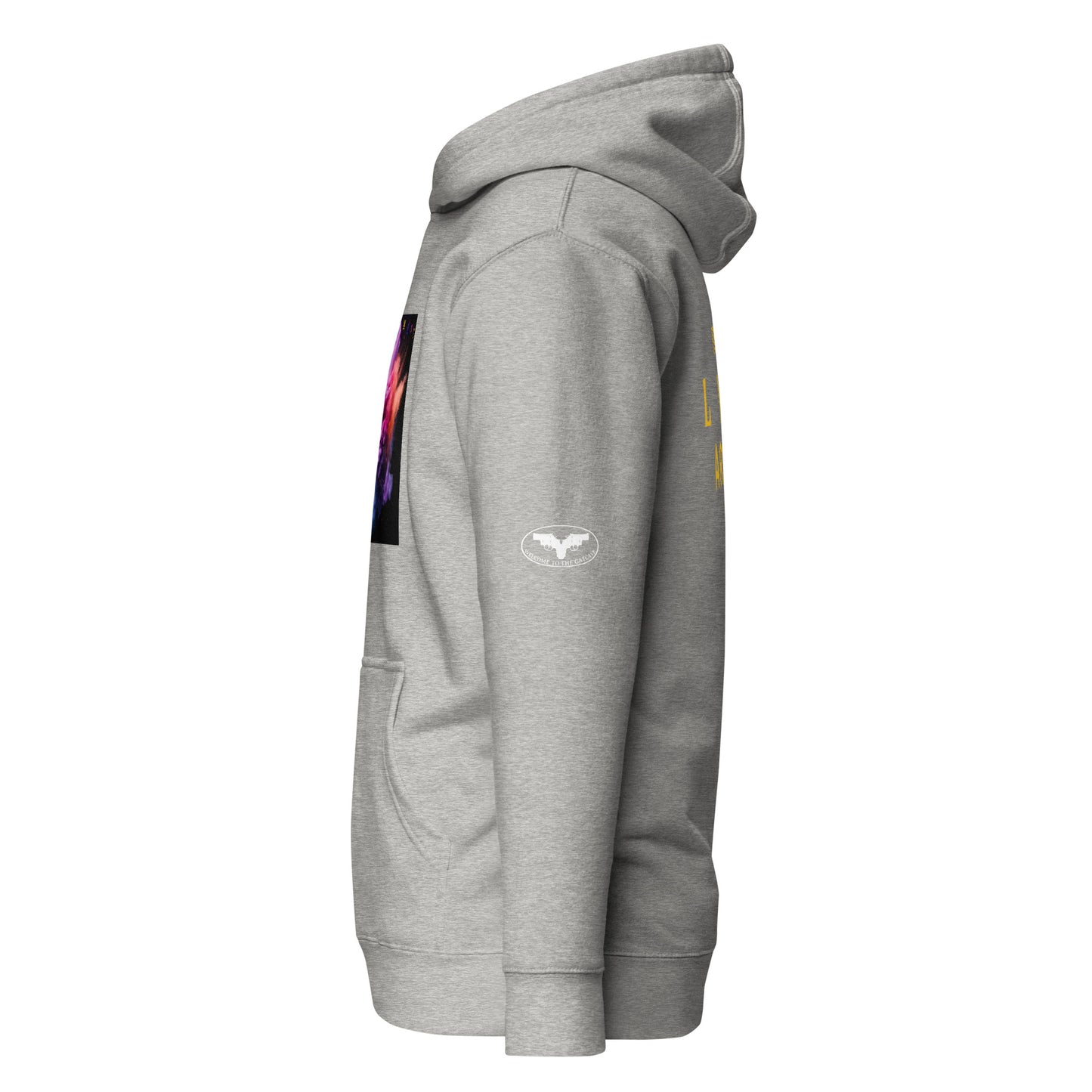 PIGMENT HOODIE (White Accents)