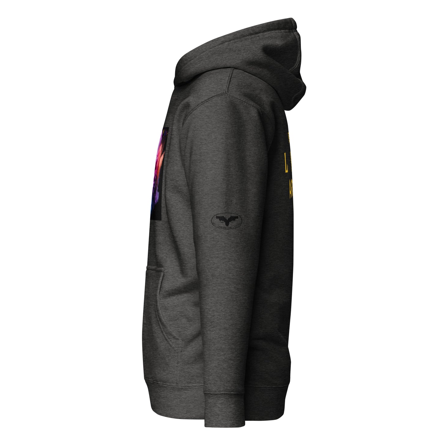 PIGMENT HOODIE (Black Accents)