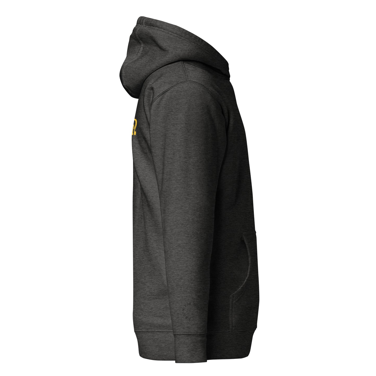 PIGMENT DS2 PURPLE EMBROIDERED POCKET HOODIE (Black Accents)