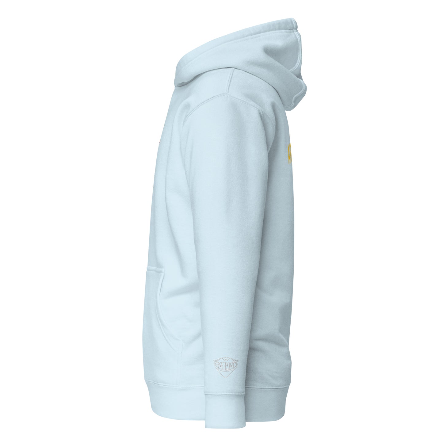 PIGMENT EMBROIDERED HOODIE (White Accents)