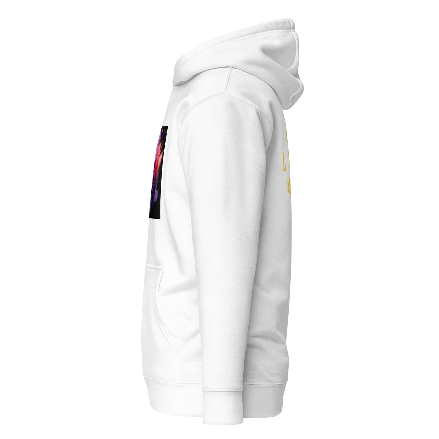 PIGMENT HOODIE (White Accents)