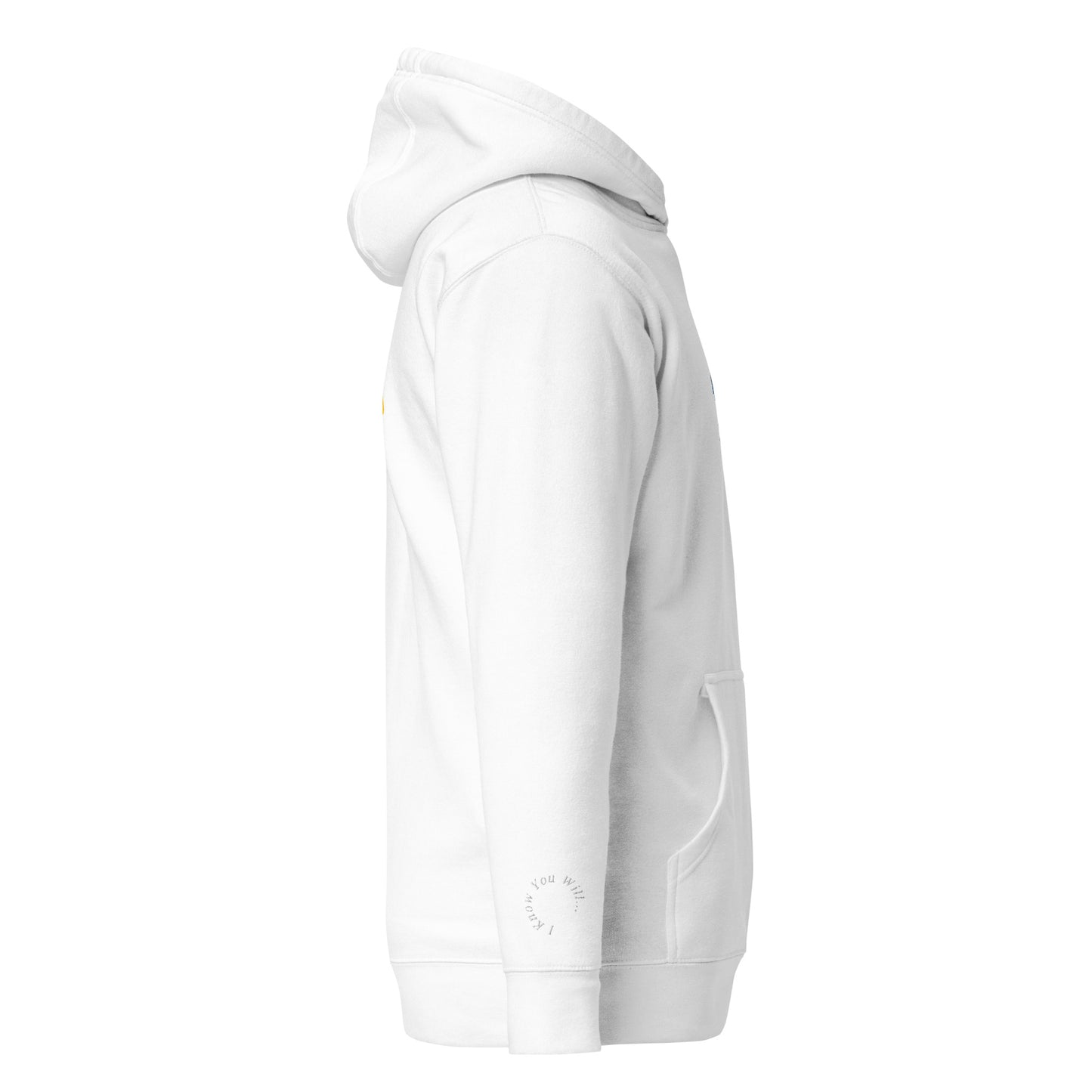 PIGMENT EMBROIDERED HOODIE (White Accents)