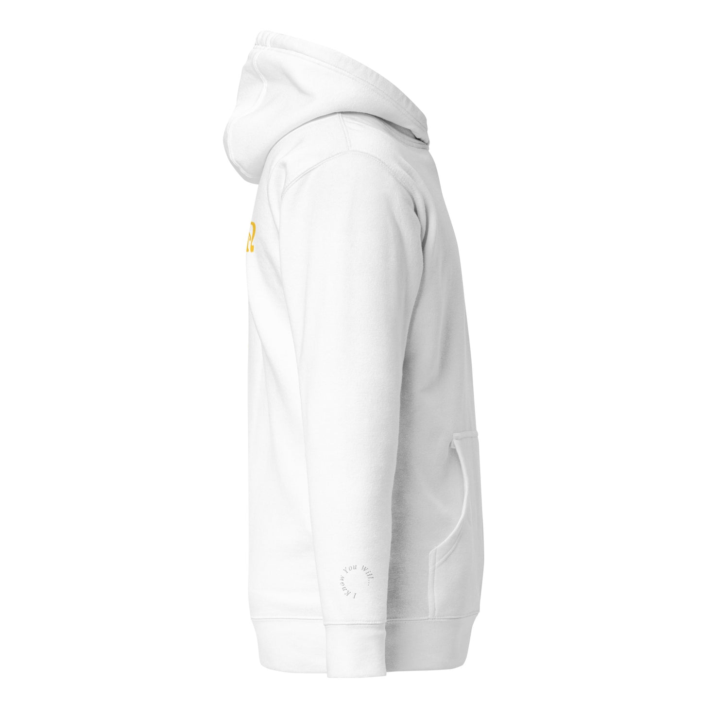 PIGMENT EMBROIDERED POCKET HOODIE (White Accents)